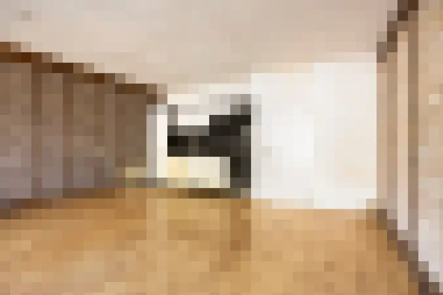 Vredenburg 126 Dordrecht thumbnail 8