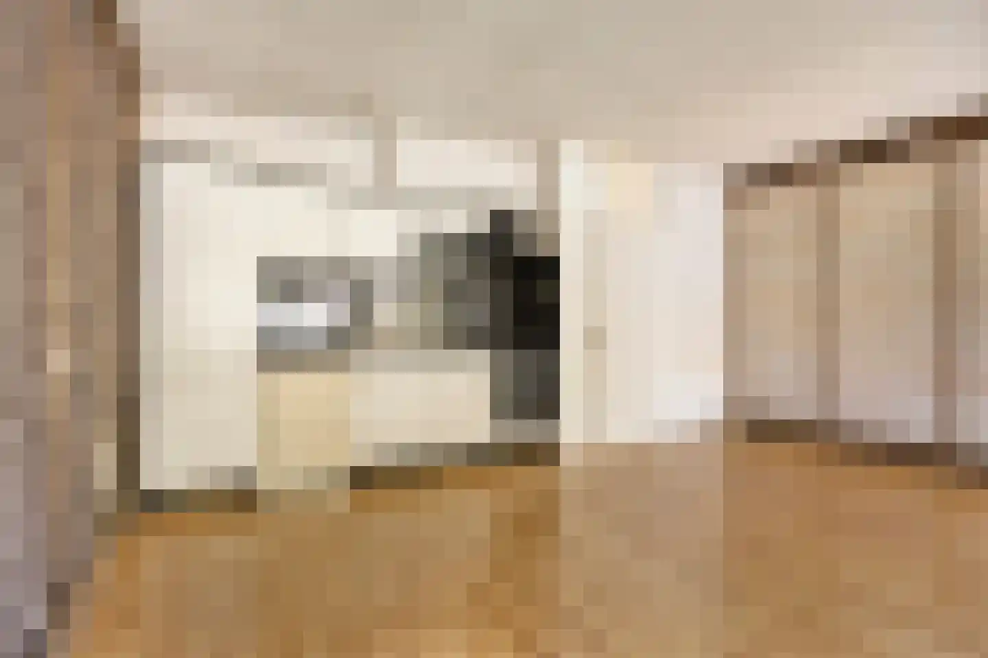 Vredenburg 126 Dordrecht thumbnail 9