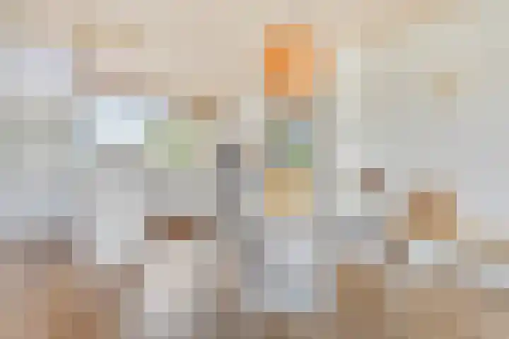 Vredenburg 144 Dordrecht thumbnail 12