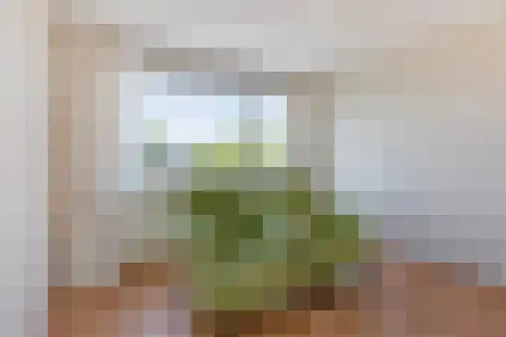 Vredenburg 144 Dordrecht thumbnail 31