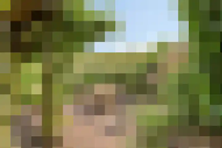 Vredenburg 144 Dordrecht thumbnail 38