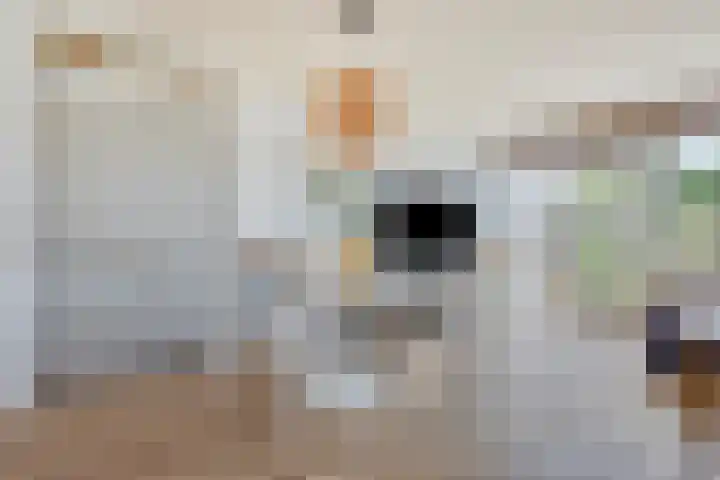 Vredenburg 144 Dordrecht thumbnail 6