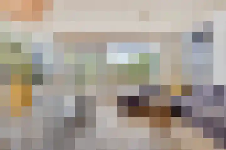 Vredenburg 144 Dordrecht thumbnail 7