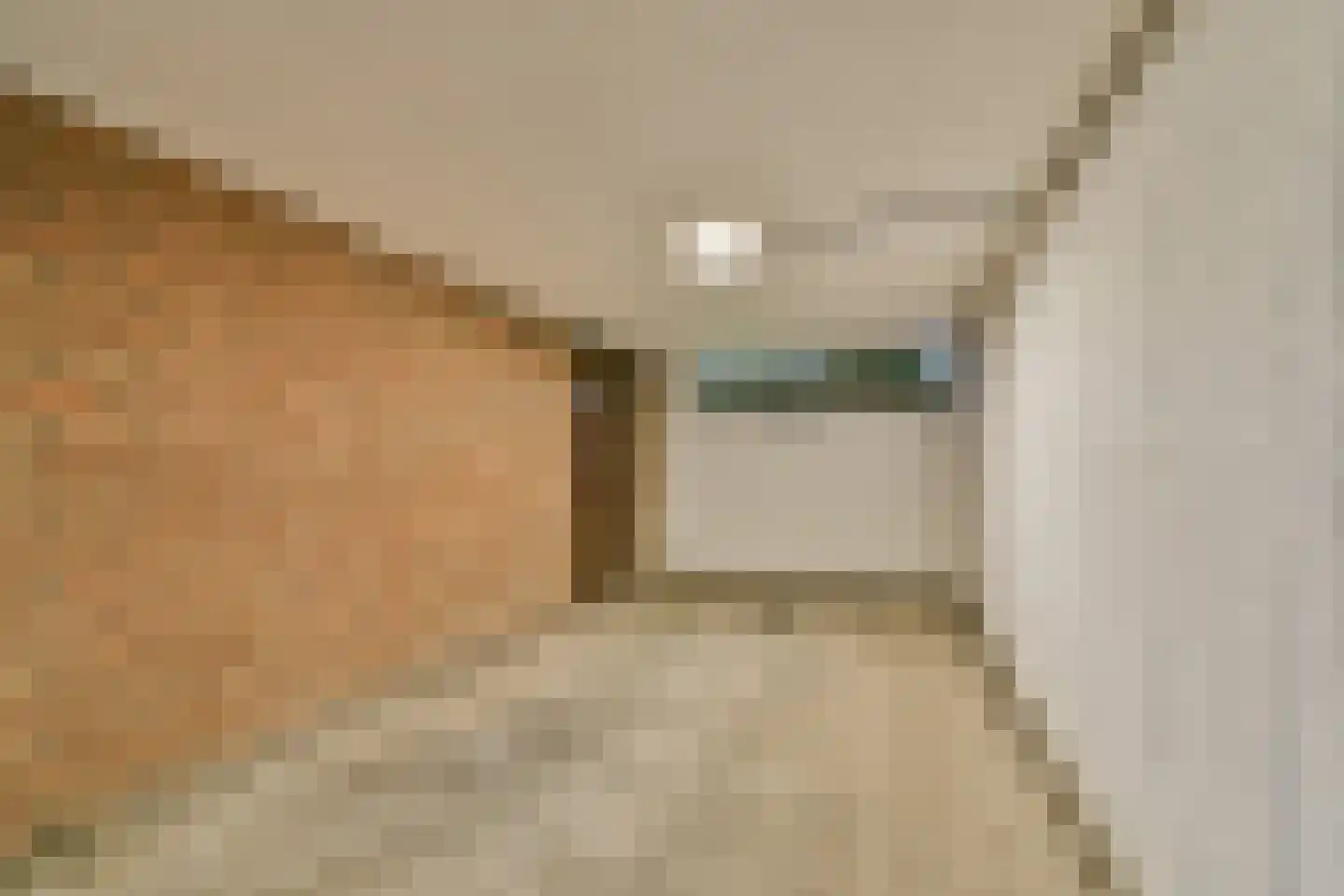Vredenburg 17 Dordrecht thumbnail 16