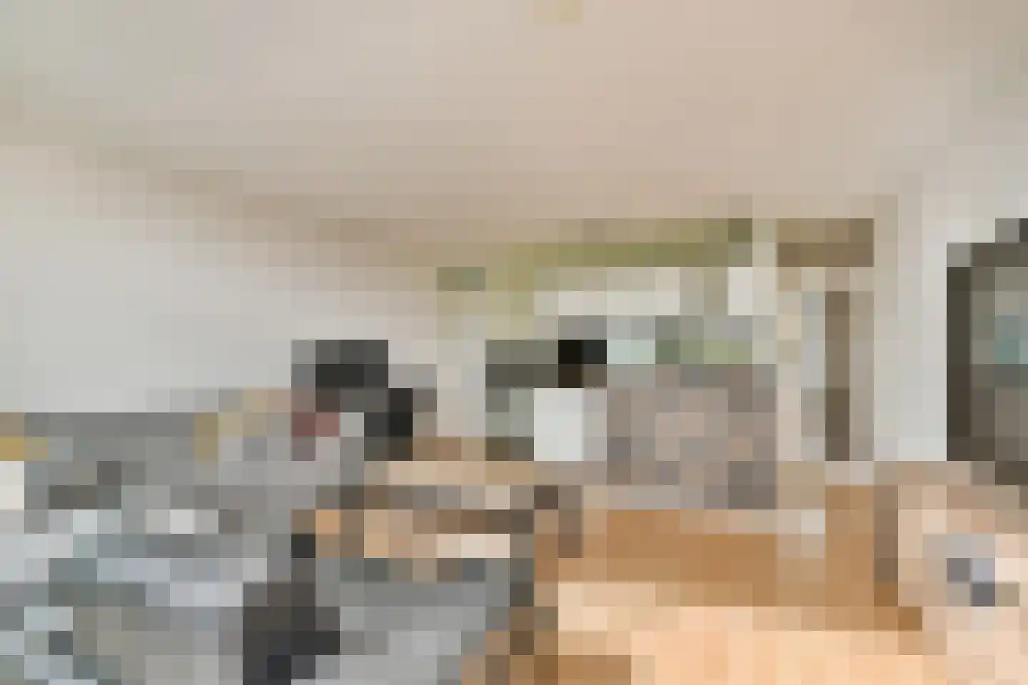 Vredenburg 17 Dordrecht thumbnail 4