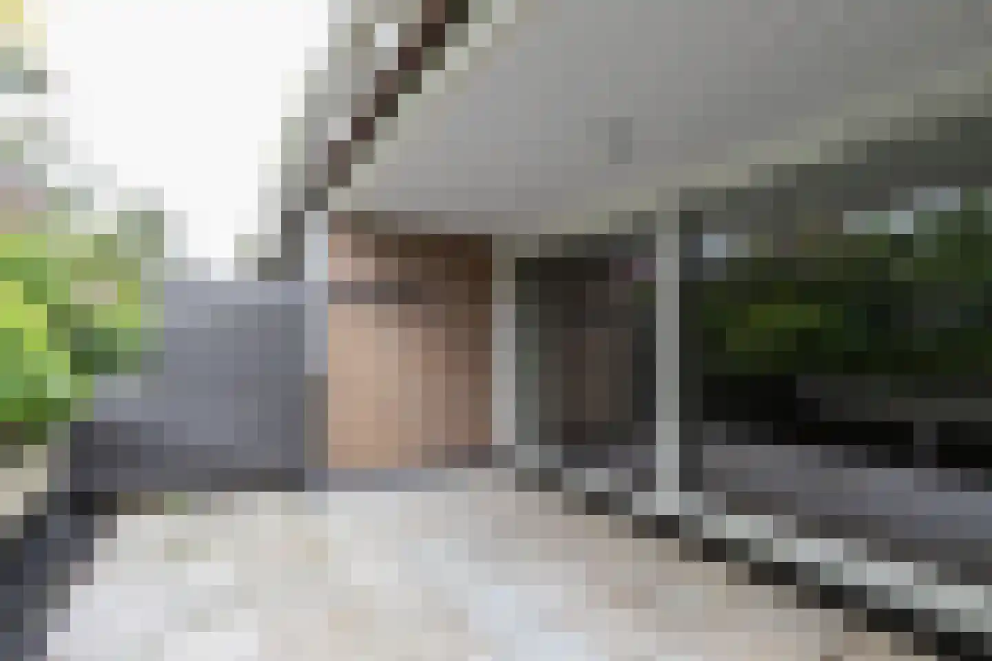 Vredenburg 31 Dordrecht thumbnail 12