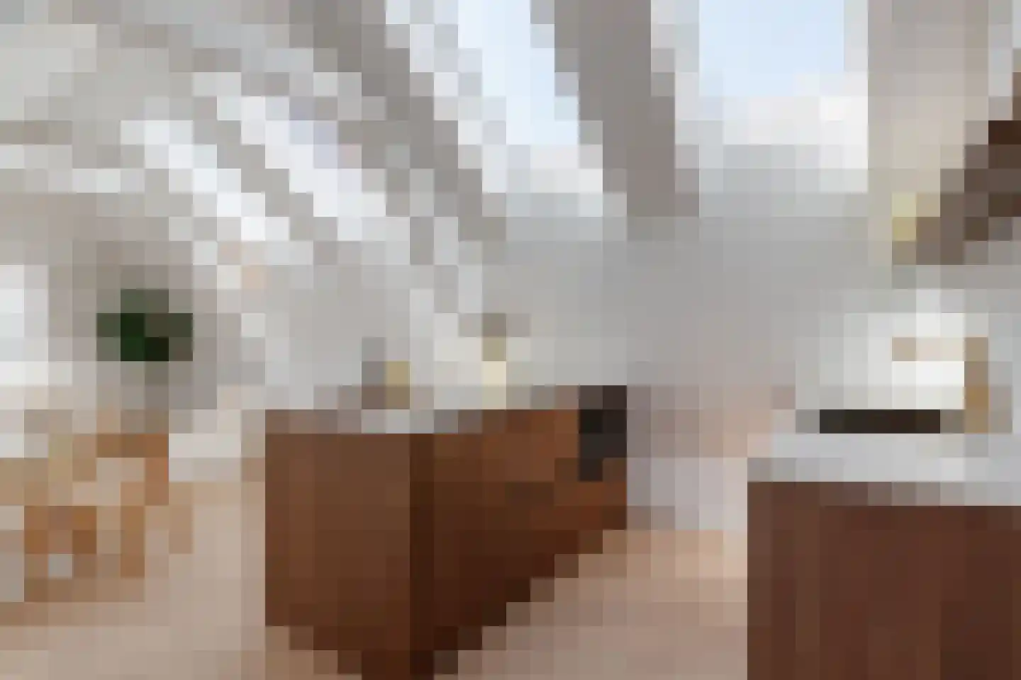 Vredenburg 33 C Utrecht thumbnail 11