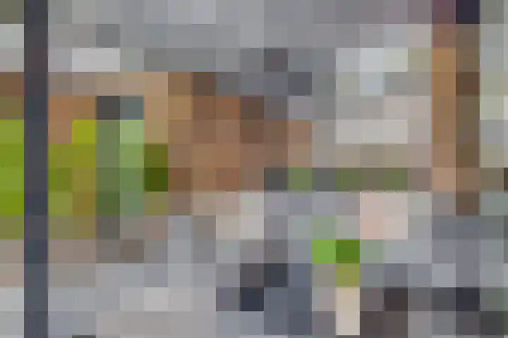 Vredenburg 57 Utrecht thumbnail 14
