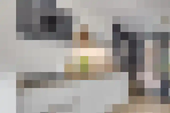 Vredenburg 57 Utrecht thumbnail 19