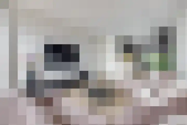 Vredenburg 57 Utrecht thumbnail 20
