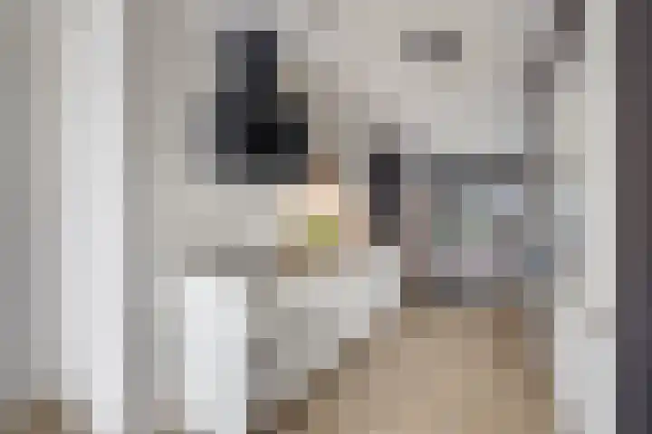 Vredenburg 57 Utrecht thumbnail 21