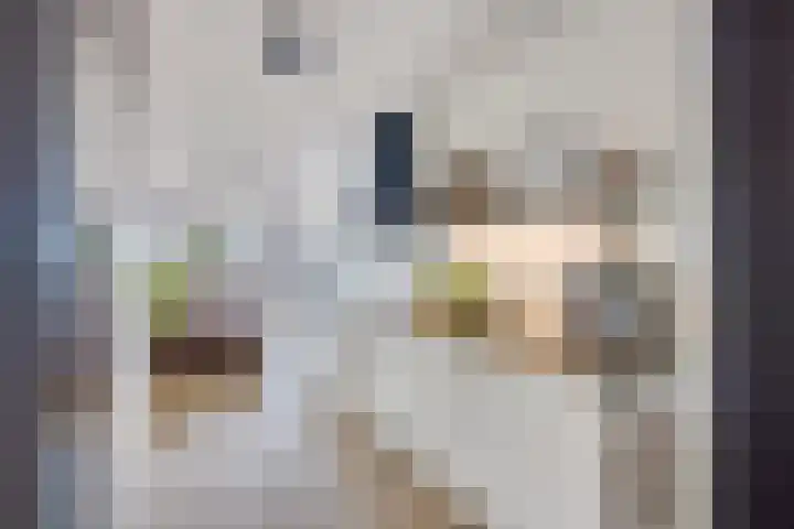 Vredenburg 57 Utrecht thumbnail 22