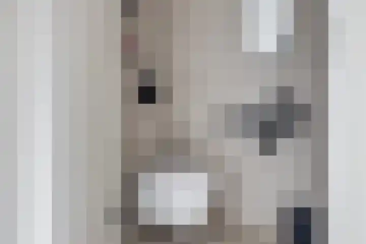 Vredenburg 57 Utrecht thumbnail 34
