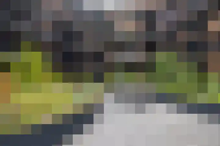 Vredenburg 57 Utrecht thumbnail 40