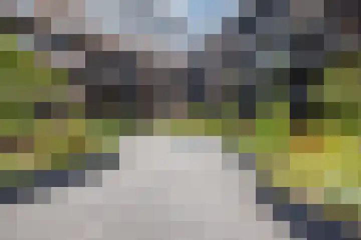 Vredenburg 57 Utrecht thumbnail 41