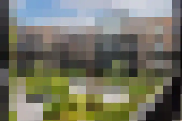 Vredenburg 57 Utrecht thumbnail 49
