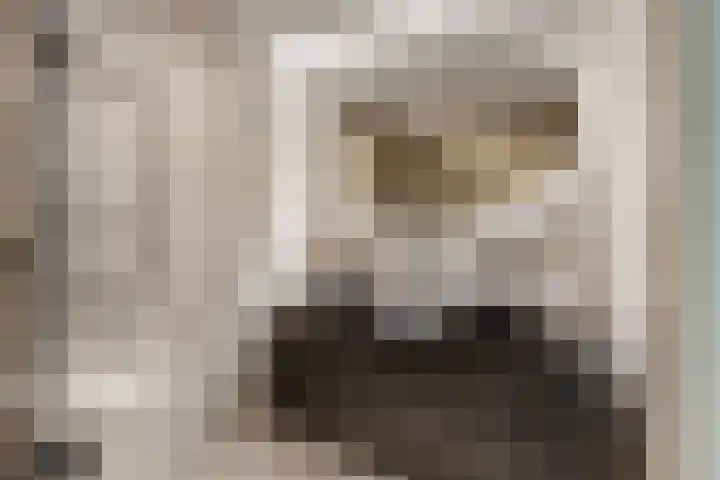 Vredenburg 57 Utrecht thumbnail 6