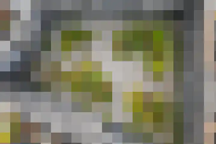 Vredenburg 57 Utrecht thumbnail 8