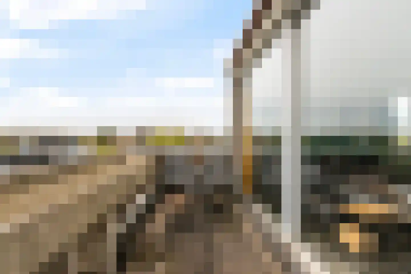 Vredenburg 58 Dordrecht thumbnail 16