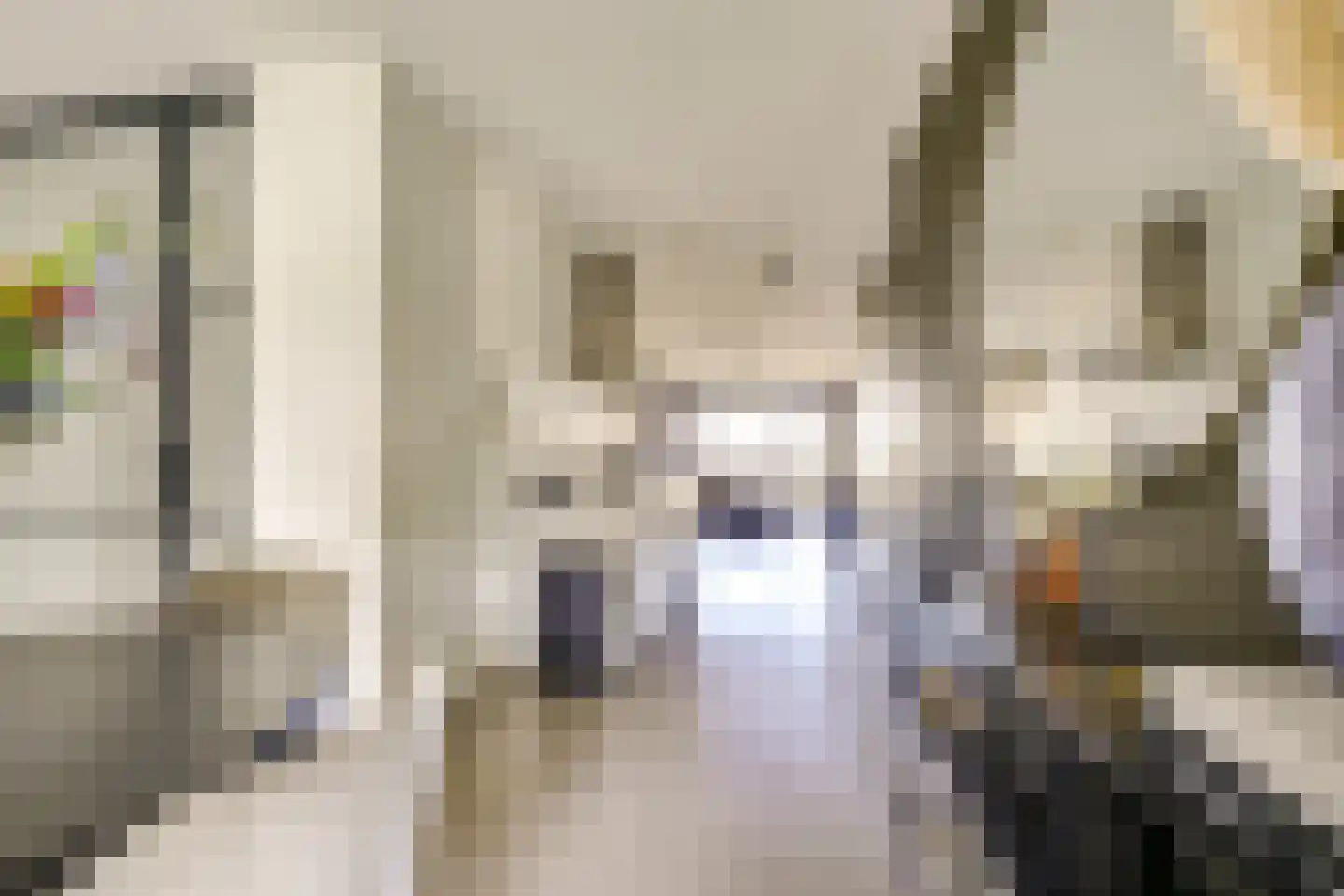 Vredenburg 58 Utrecht thumbnail 11
