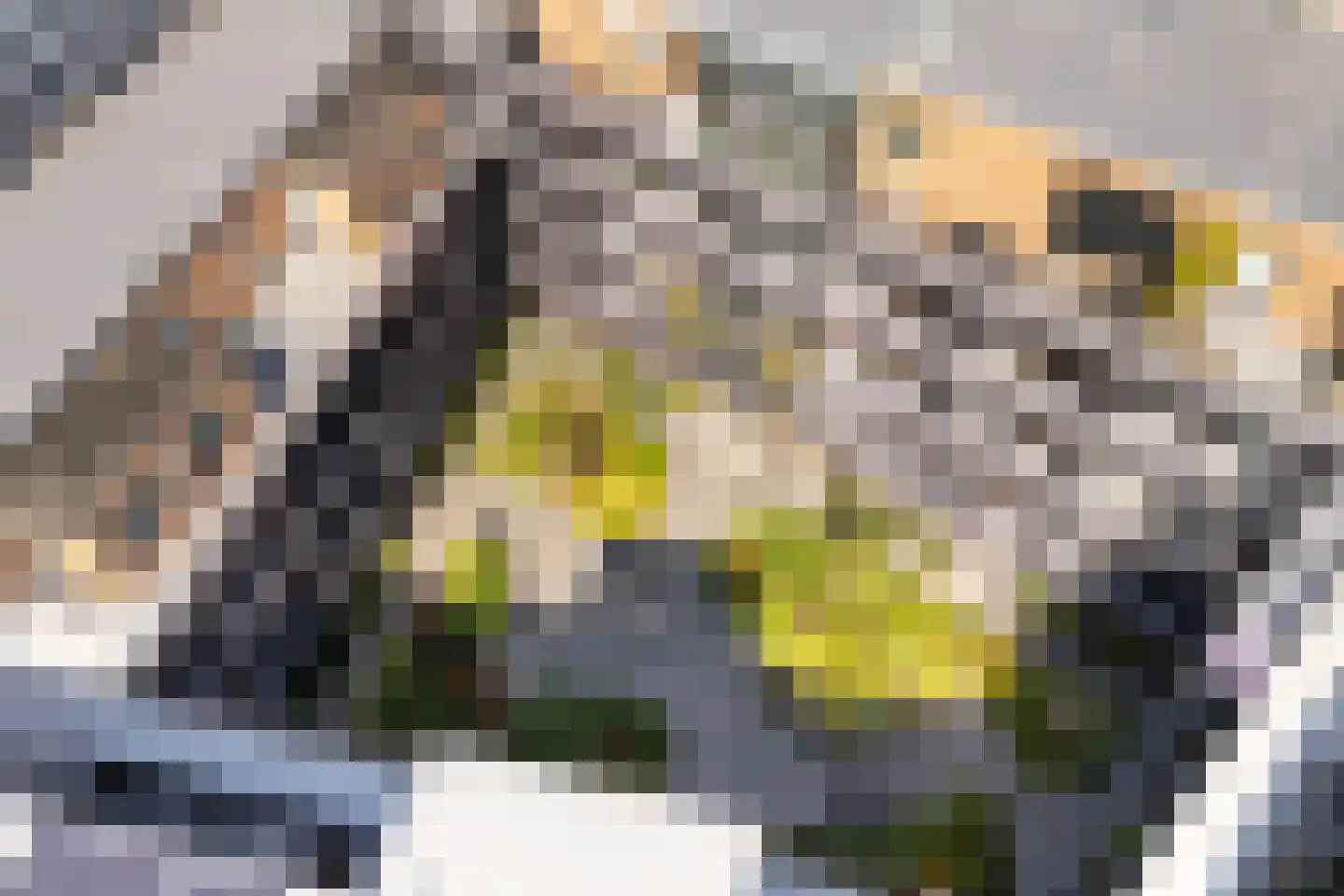 Vredenburg 58 Utrecht thumbnail 58