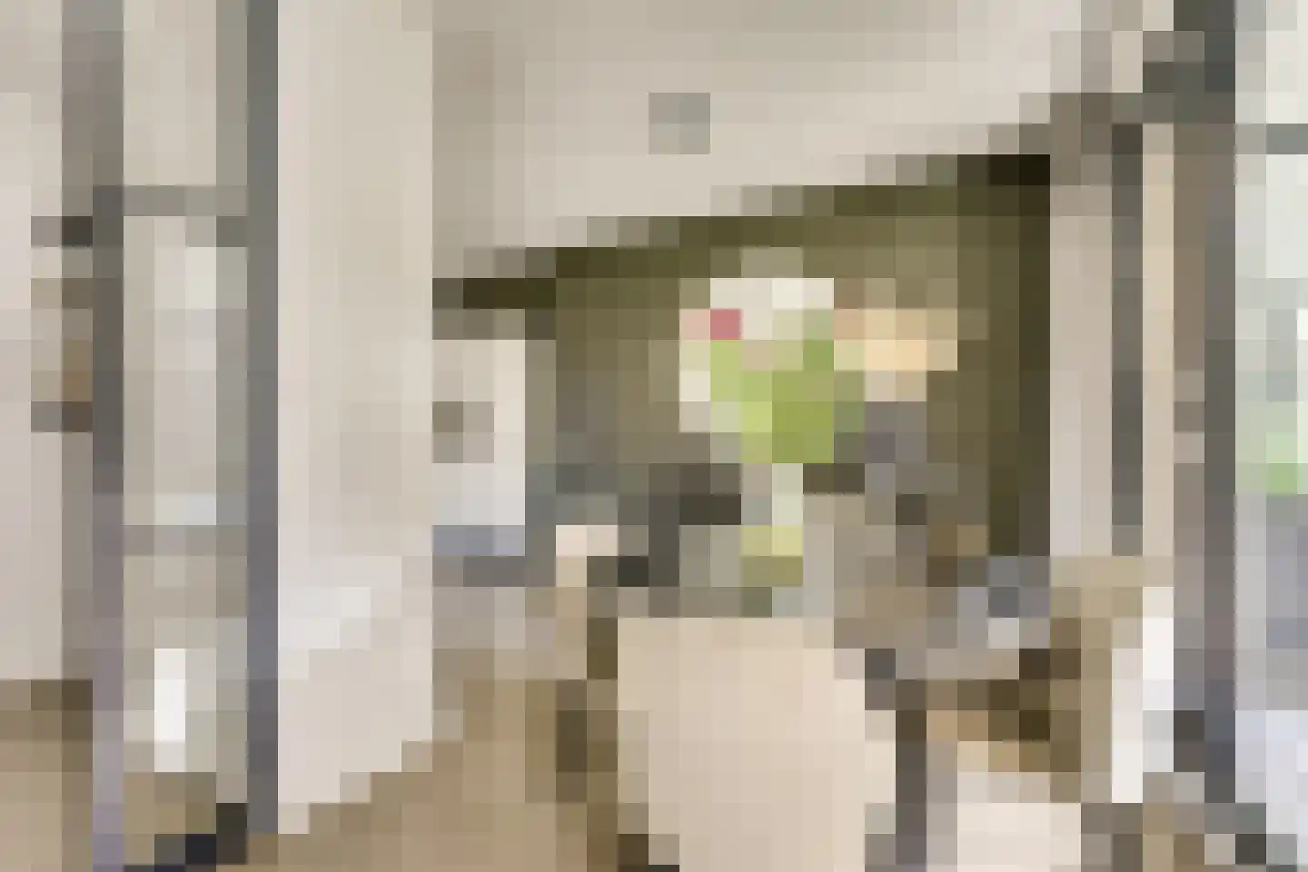 Vredenburg 58 Utrecht thumbnail 6