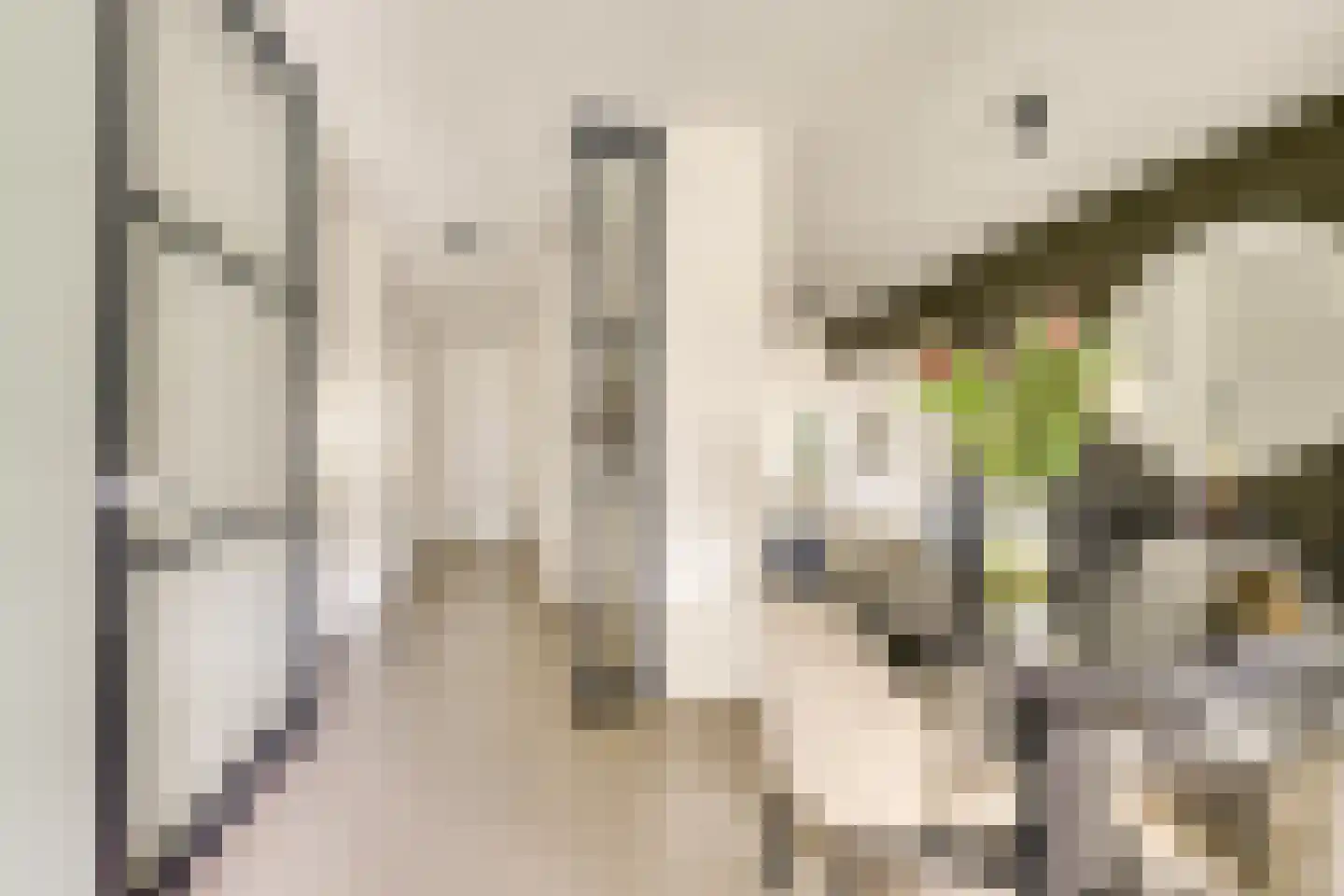 Vredenburg 58 Utrecht thumbnail 7