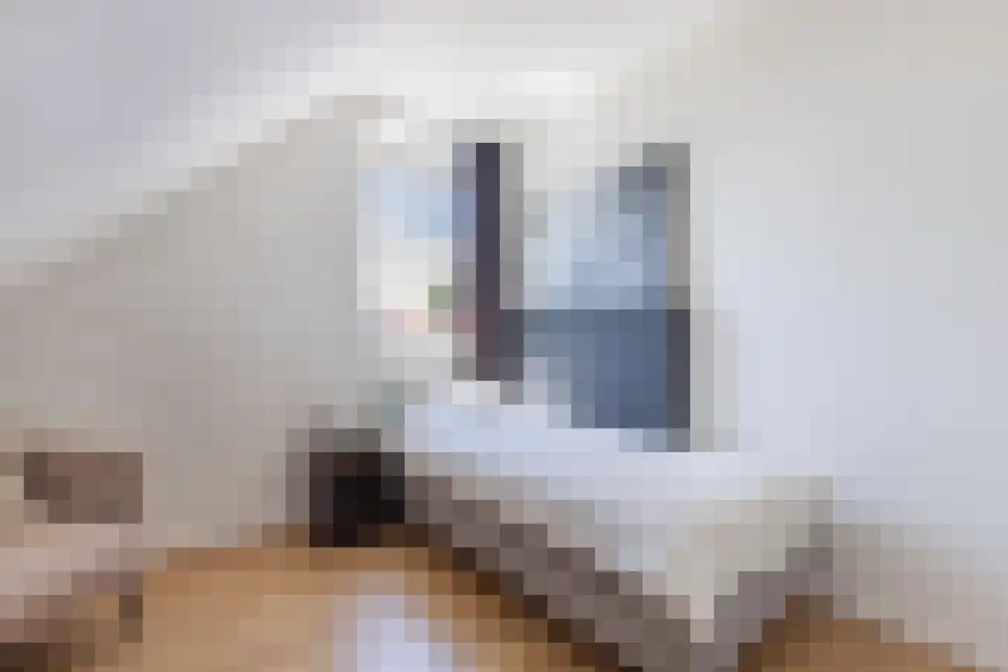 Vredenburg 6 Steenwijkerwold thumbnail 33