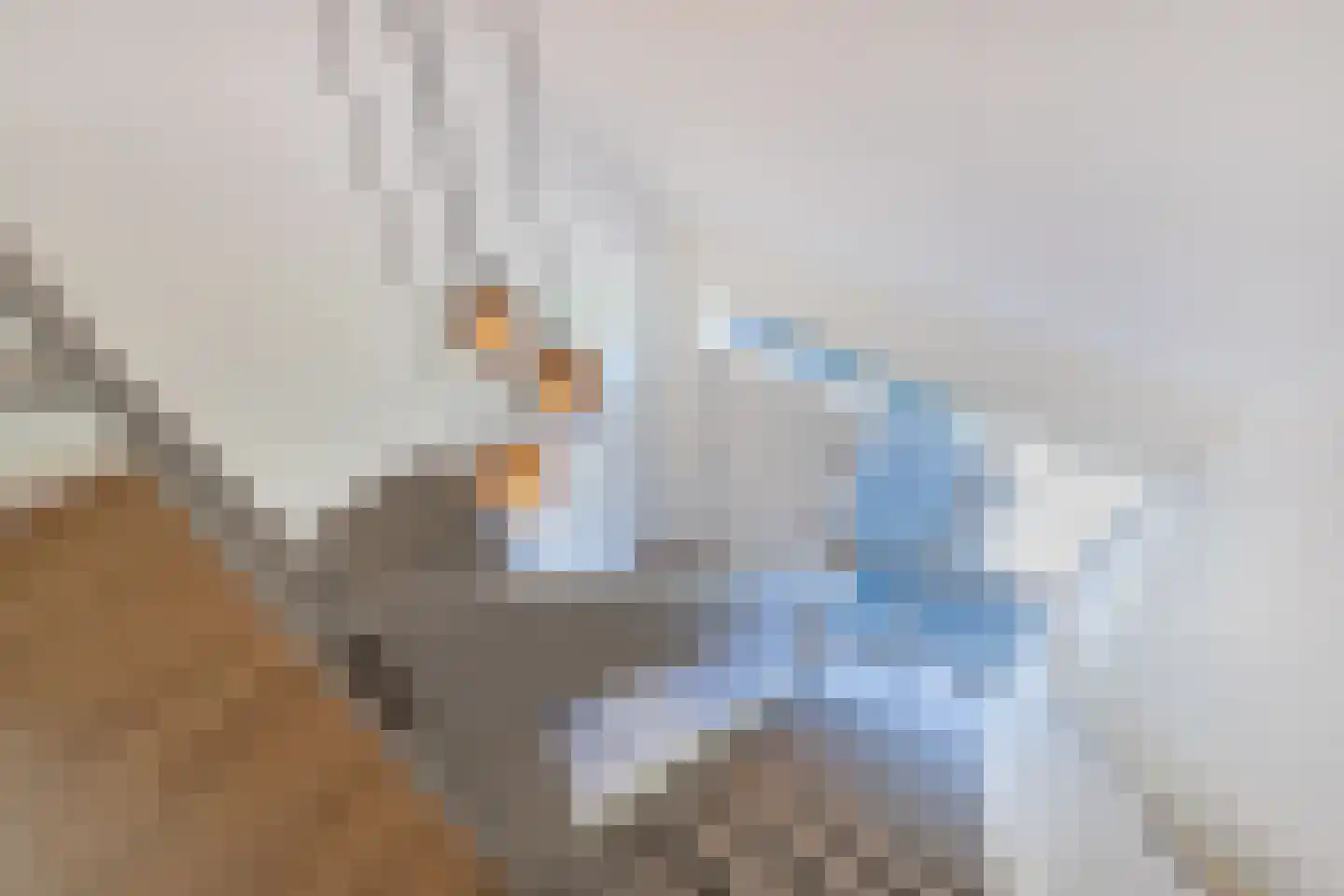 Vredenburg 6 Steenwijkerwold thumbnail 34