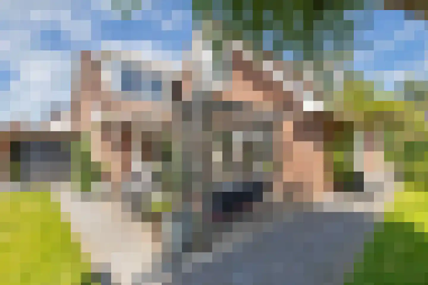 Vredenburg 6 Steenwijkerwold thumbnail 43