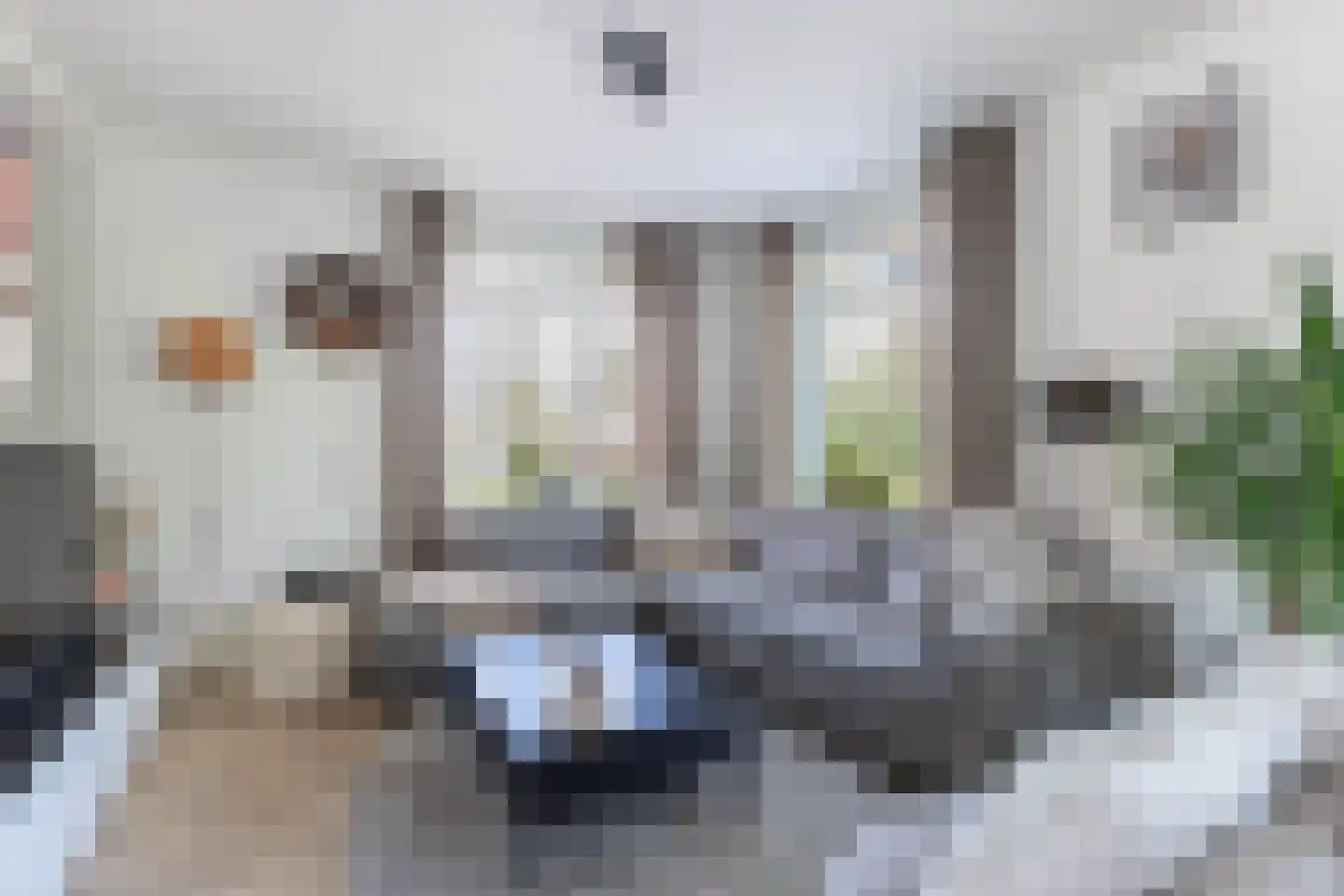 Vredenburg 6 Steenwijkerwold thumbnail 7