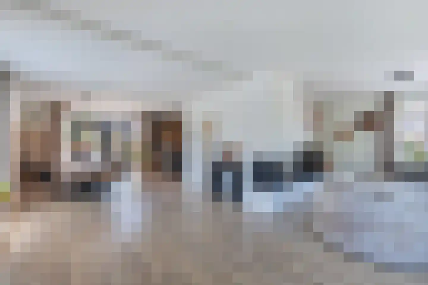 Vredenburg 6 Steenwijkerwold thumbnail 9