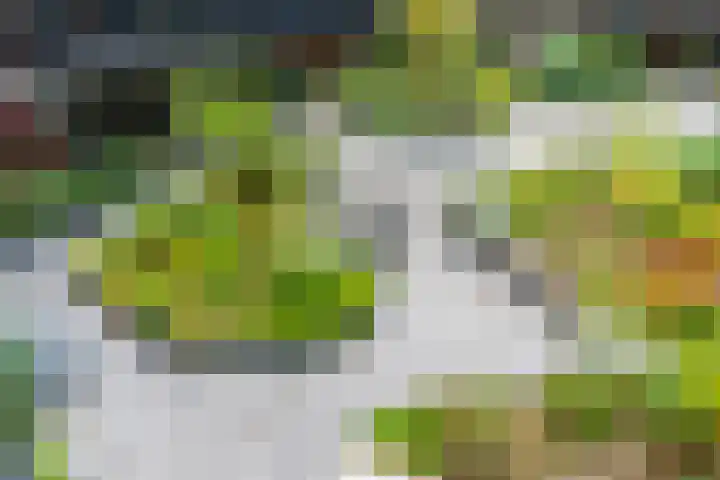 Vredenburg 64 Utrecht thumbnail 10