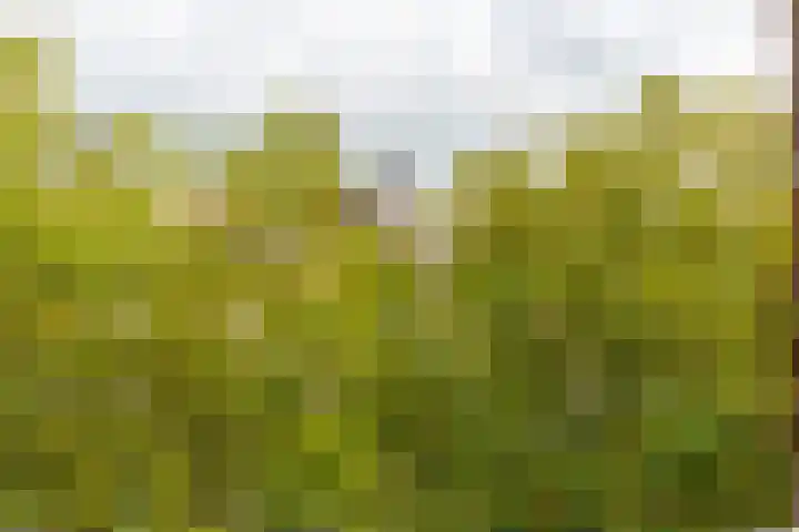 Vredenburg 64 Utrecht thumbnail 21
