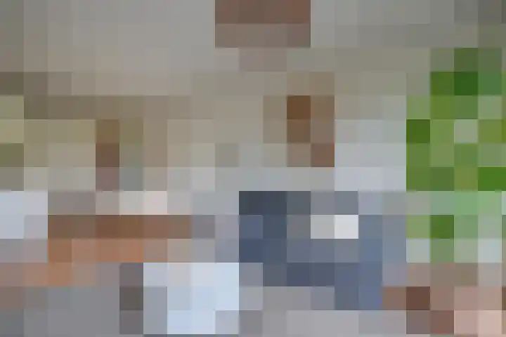 Vredenburg 64 Utrecht thumbnail 23