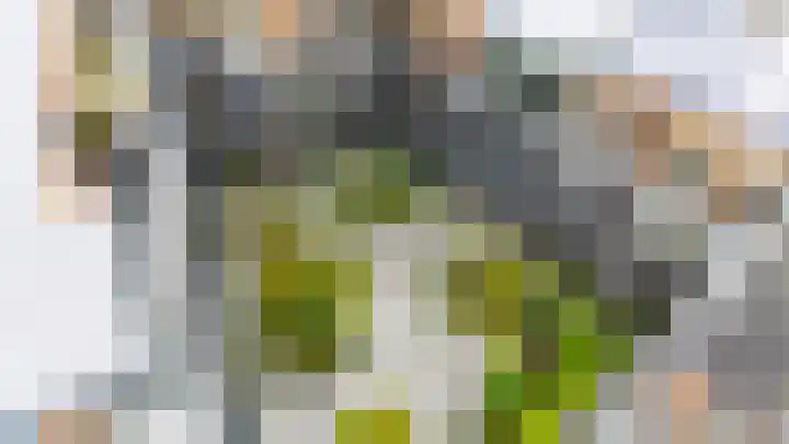 Vredenburg 64 Utrecht thumbnail 8