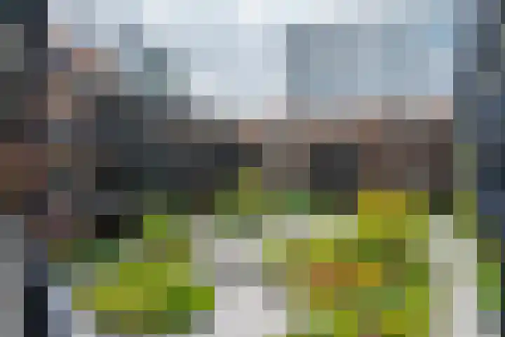 Vredenburg 64 Utrecht thumbnail 9