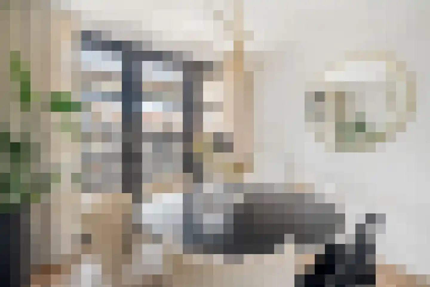Vredenburg 69 Utrecht thumbnail 13