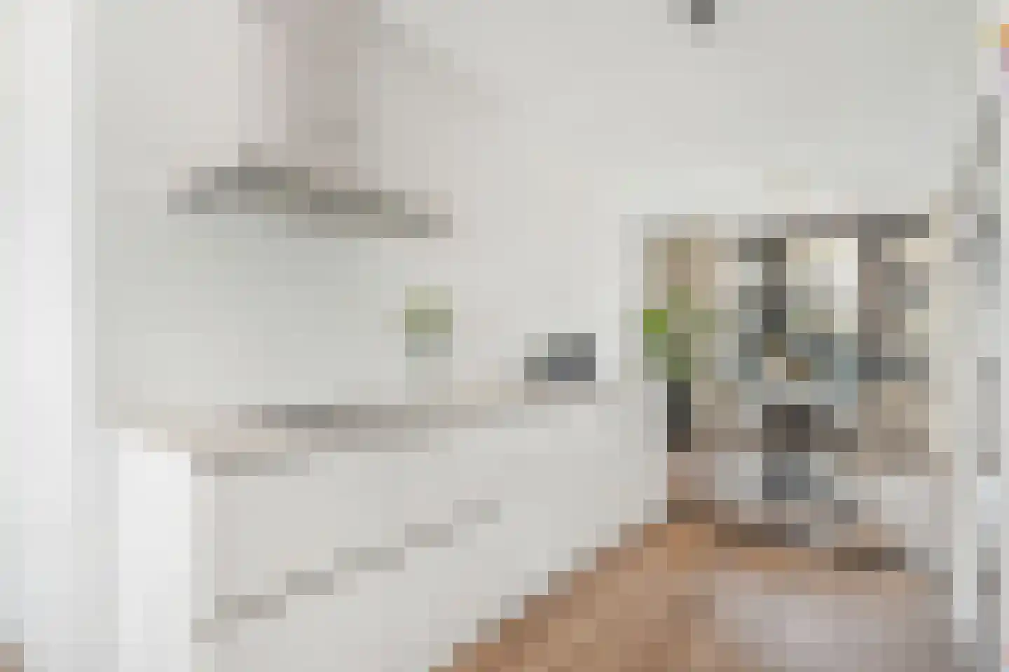Vredenburg 69 Utrecht thumbnail 8