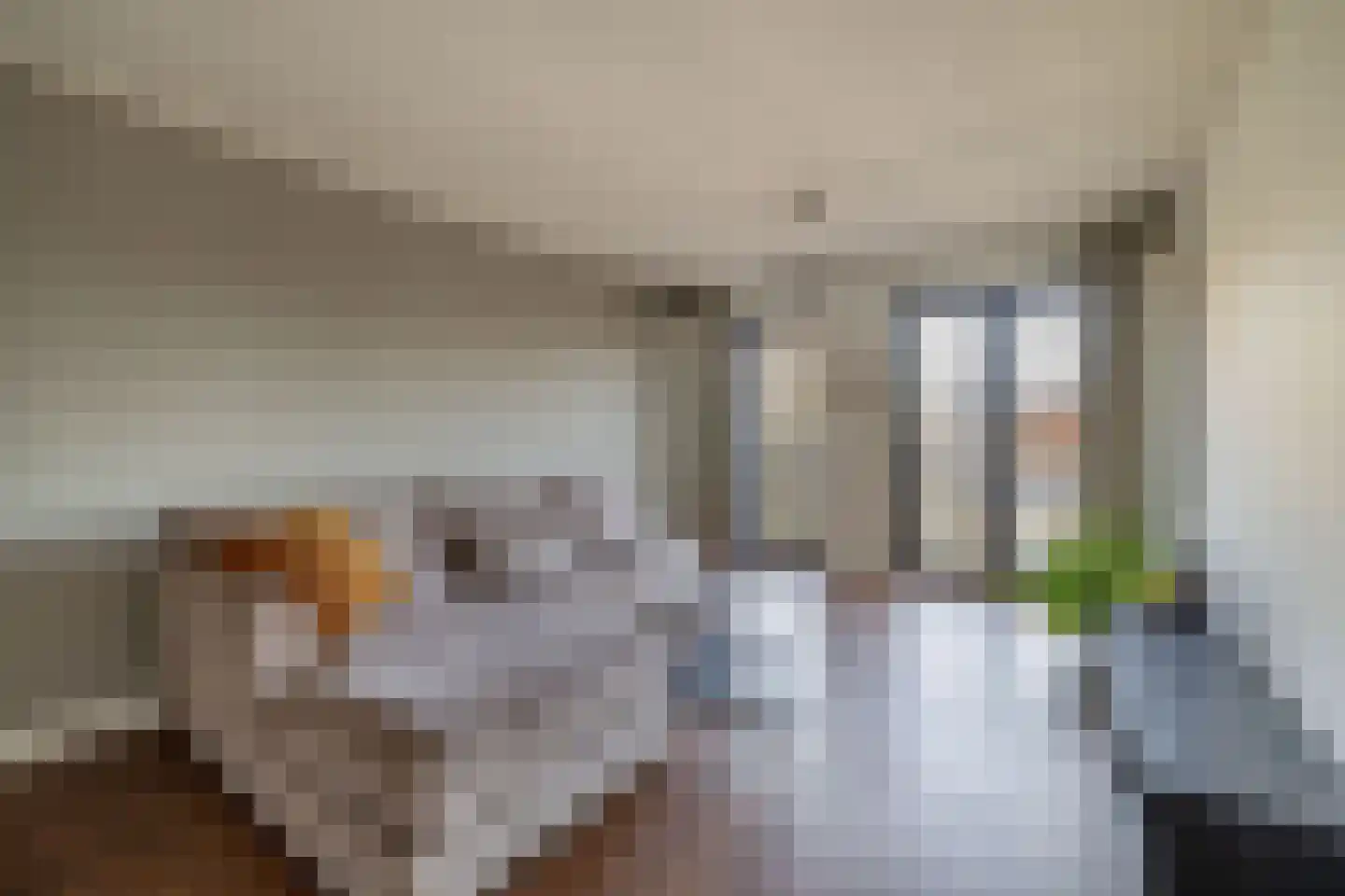 Vredenburg 73 Utrecht thumbnail 13