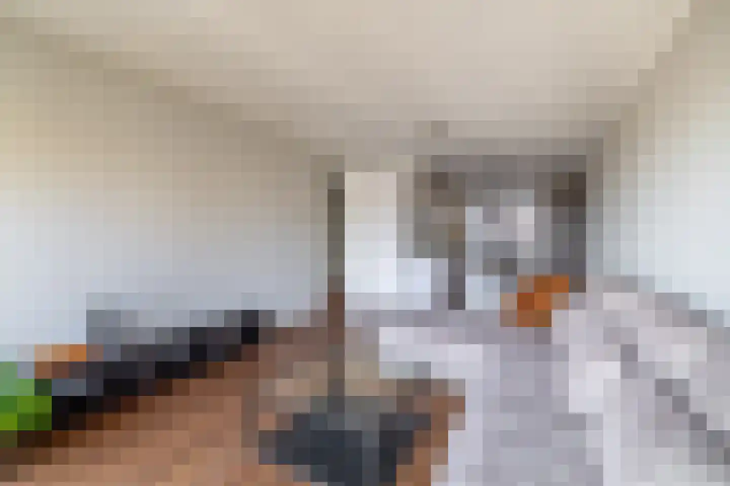 Vredenburg 73 Utrecht thumbnail 15