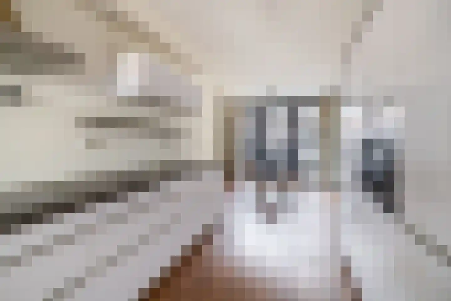 Vredenburg 73 Utrecht thumbnail 22