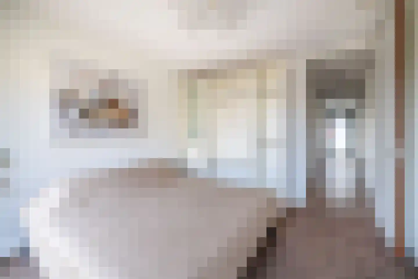 Vredenburg 73 Utrecht thumbnail 26