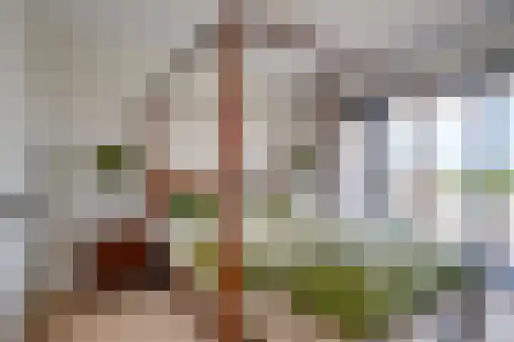 Vredenburg 74 Utrecht thumbnail 25