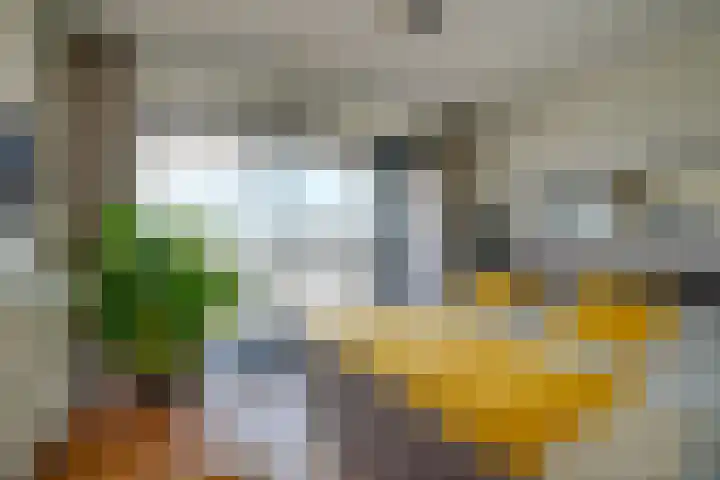Vredenburg 74 Utrecht thumbnail 27
