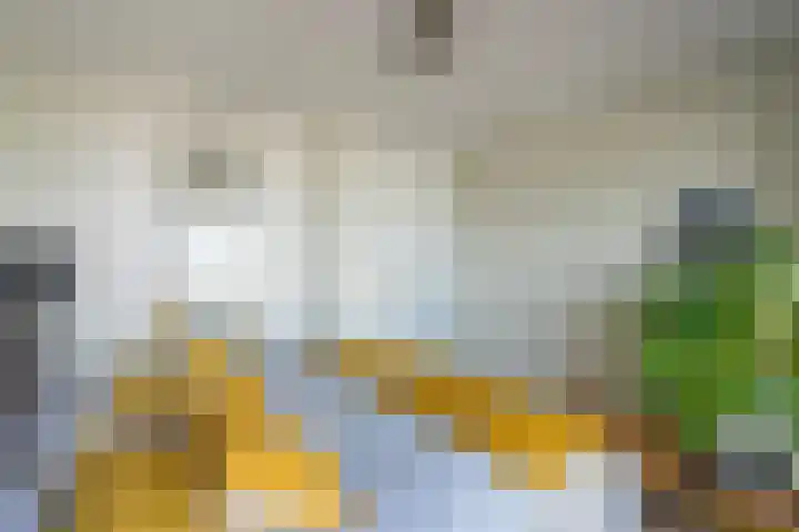 Vredenburg 74 Utrecht thumbnail 28