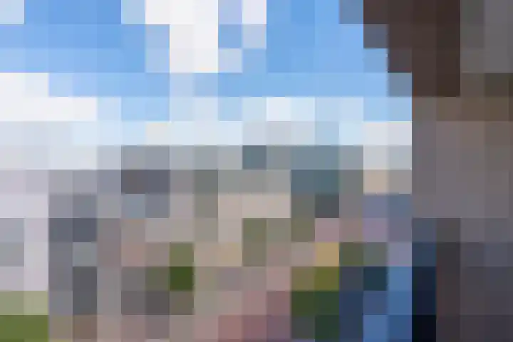 Vredenburg 74 Utrecht thumbnail 30