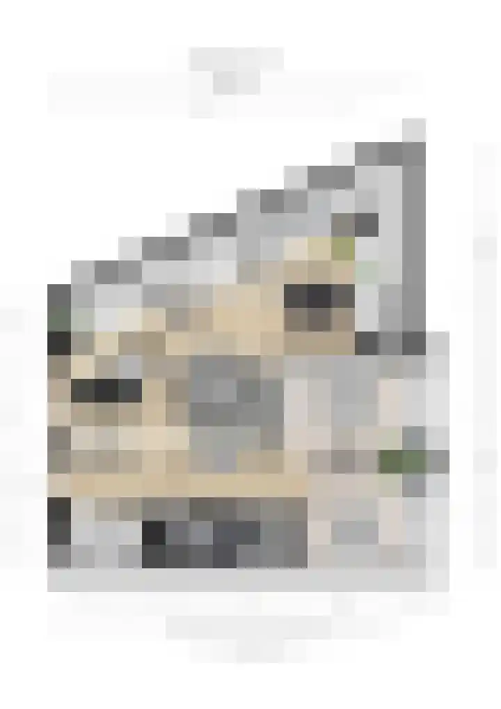 Vredenburg 74 Utrecht thumbnail 45