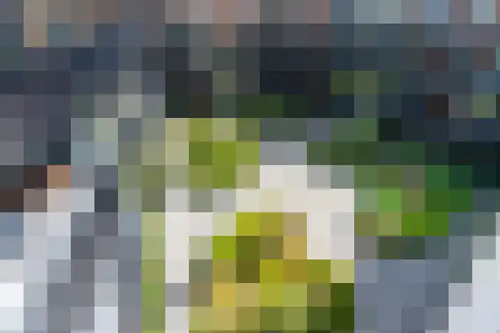 Vredenburg 74 Utrecht thumbnail 5
