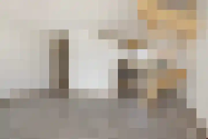Vredenburg 78 Dordrecht thumbnail 16